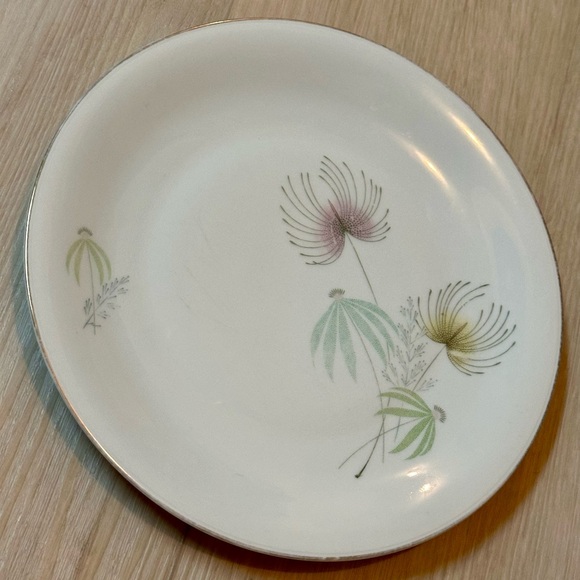 Vintage Bavaria Tirschenreuth Plate – White w/ Floral Design, Silver Rim, Rare - Picture 16 of 16